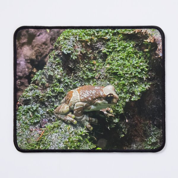 Item preview, Milk Frog designed and sold by cherrynat1.