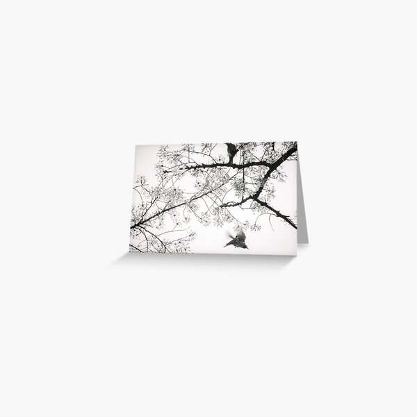 Item preview, Birds in Spring designed and sold by NatsukashiiPics.