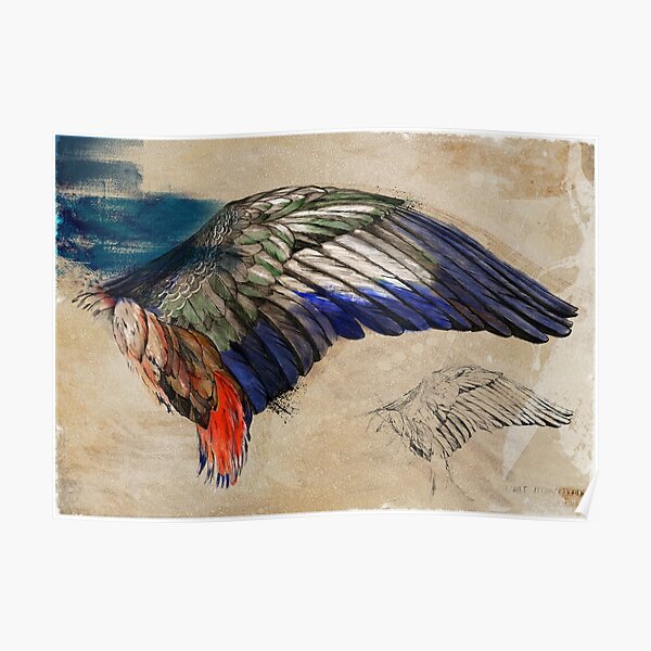 L'Aile de Durer ( Durer's wing) Poster