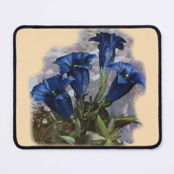 Item preview, Art by Mike Watercolor Drawing Botany Flowers Blossom Nature Easter Spring Gentian designed and sold by allartbymike.