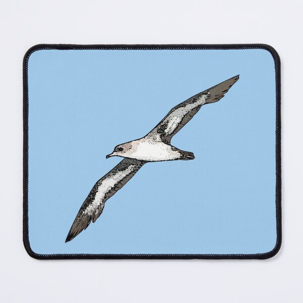 Item preview, Pink-footed Shearwater Black Alternate Design designed and sold by designsasstultd.