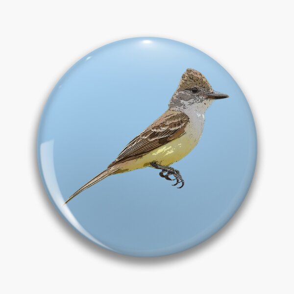 Item preview, Brown-crested Flycatcher Color Design  designed and sold by designsasstultd.
