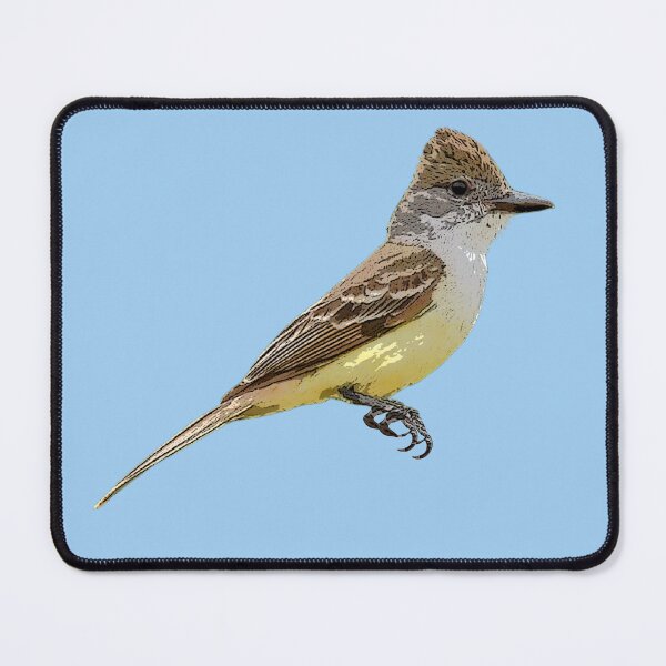 Item preview, Brown-crested Flycatcher Color Design  designed and sold by designsasstultd.