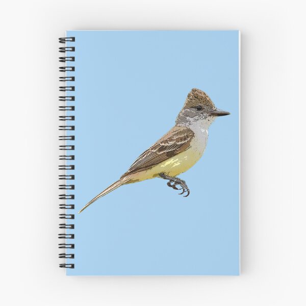 Item preview, Brown-crested Flycatcher Color Design  designed and sold by designsasstultd.