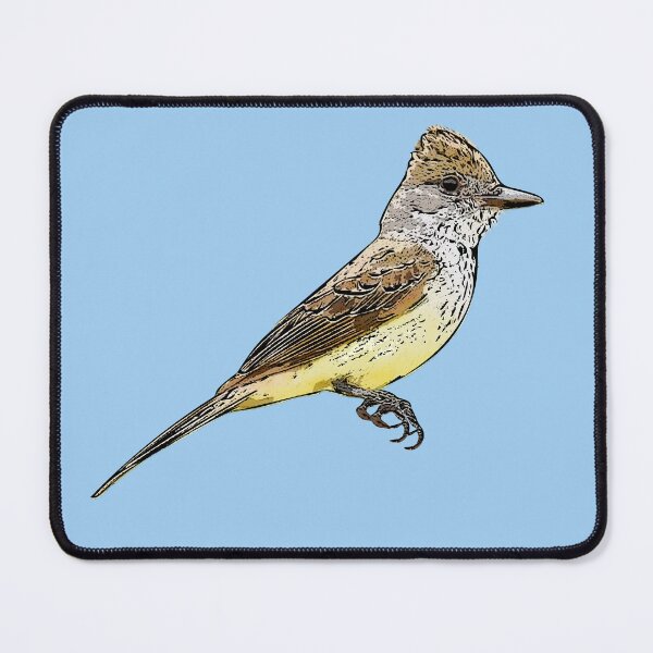 Item preview, Brown-crested Flycatcher Black Alternate Design designed and sold by designsasstultd.