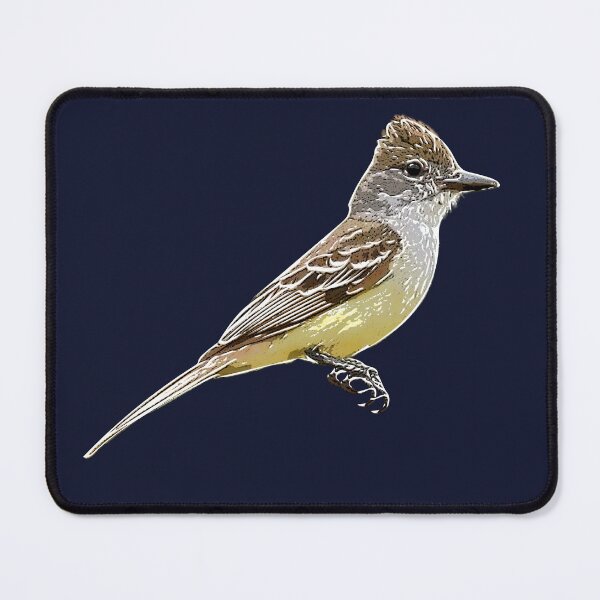 Item preview, Brown-crested Flycatcher White Alternate Design designed and sold by designsasstultd.
