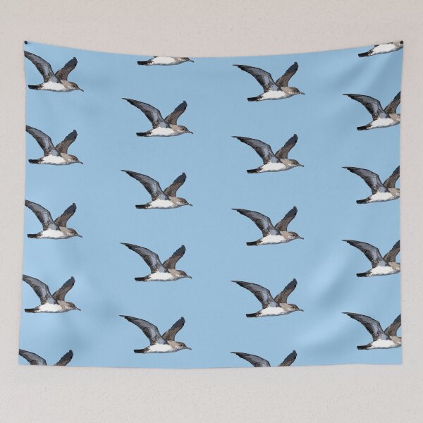 Item preview, Black-vented Shearwater Color Design  designed and sold by designsasstultd.