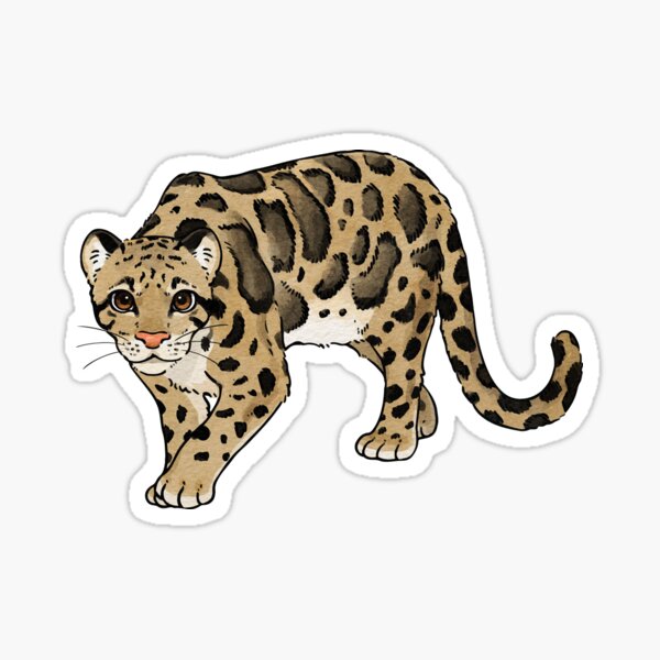 Item preview, Hand drawn cute Clouded Leopard designed and sold by You Store.