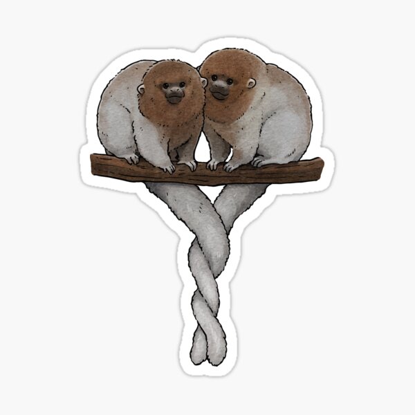 Item preview, Hand drawn two cute Bolivian Gray Titi Monkeys designed and sold by You Store.