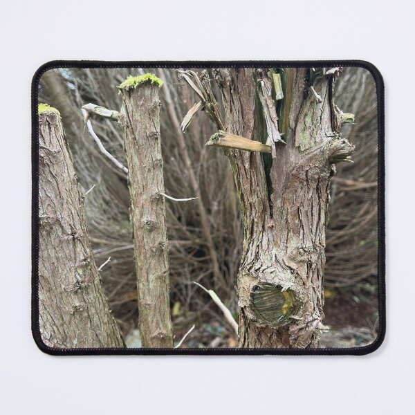 Item preview, Grow designed and sold by TerriTextiles.