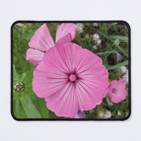 Item preview, Pink Rose Mallow Flower designed and sold by Debbie Schulte.