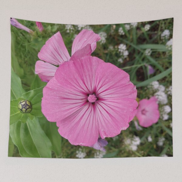 Item preview, Pink Rose Mallow Flower designed and sold by Debbie Schulte.