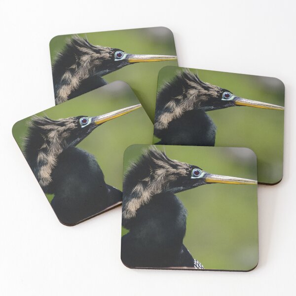 Item preview, Anhinga Portrait designed and sold by MercerImages.