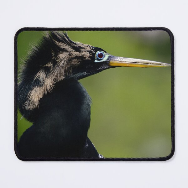 Item preview, Anhinga Portrait designed and sold by MercerImages.