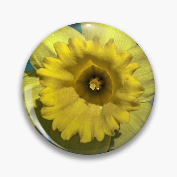Item preview, Single Daffodil designed and sold by Tom McPherson Photography.