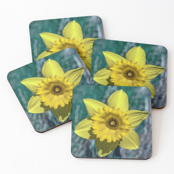 Item preview, Single Daffodil designed and sold by Tom McPherson Photography.