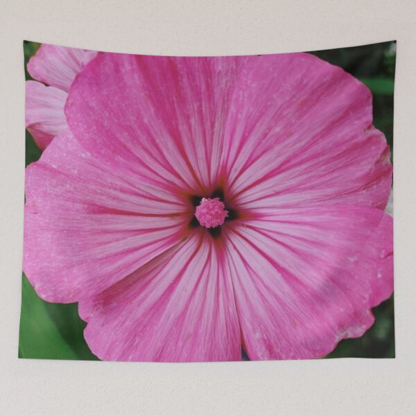 Item preview, Pink Rose Mallow Flower designed and sold by Debbie Schulte.
