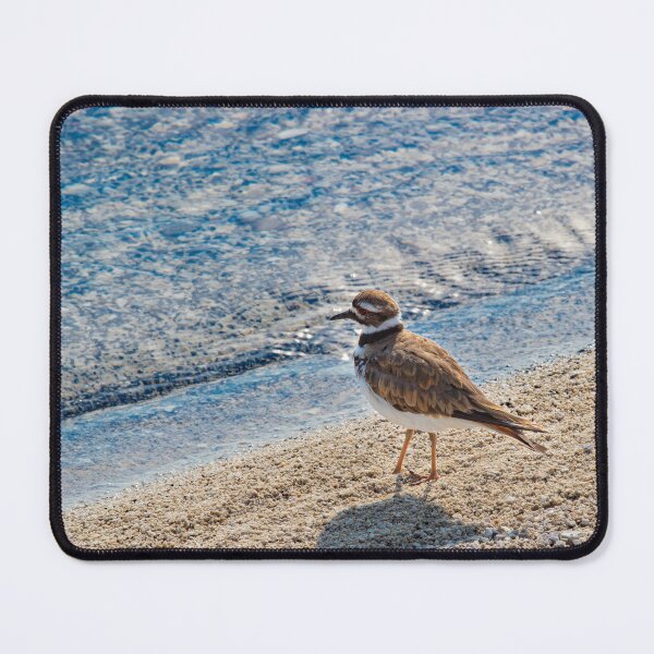 Item preview, Killdeer Bird designed and sold by The Artful Finch.