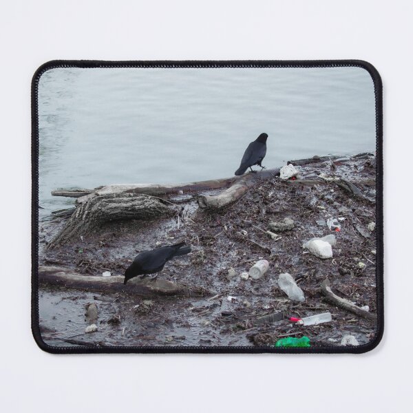 Item preview, Crows designed and sold by The Artful Finch.