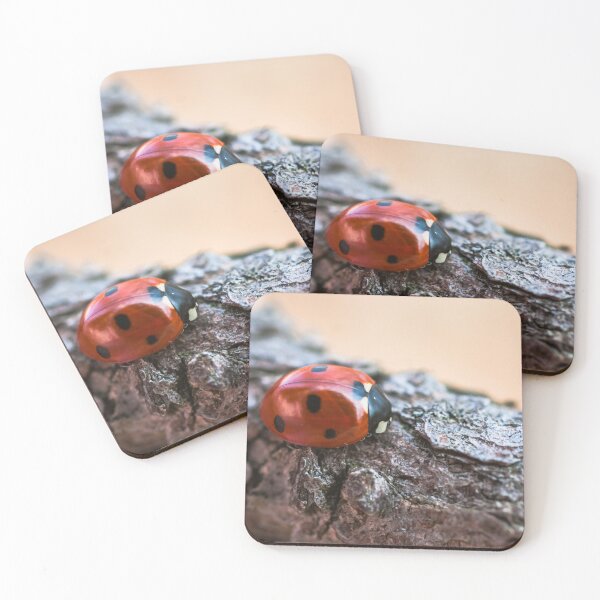 Item preview, Ladybug designed and sold by Gabszab.