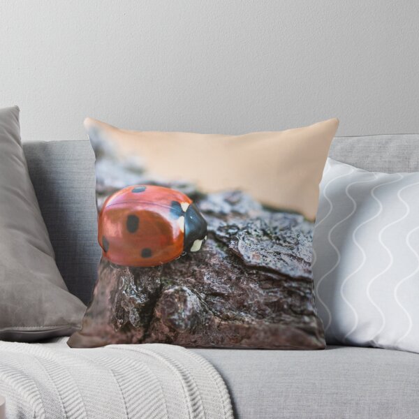 Item preview, Ladybug designed and sold by Gabszab.