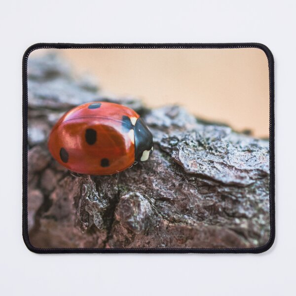 Item preview, Ladybug designed and sold by Gabszab.