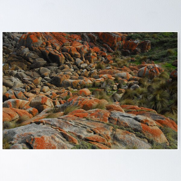 Item preview, Point Hicks, Croajingolong N P designed and sold by Richard  Stanley.