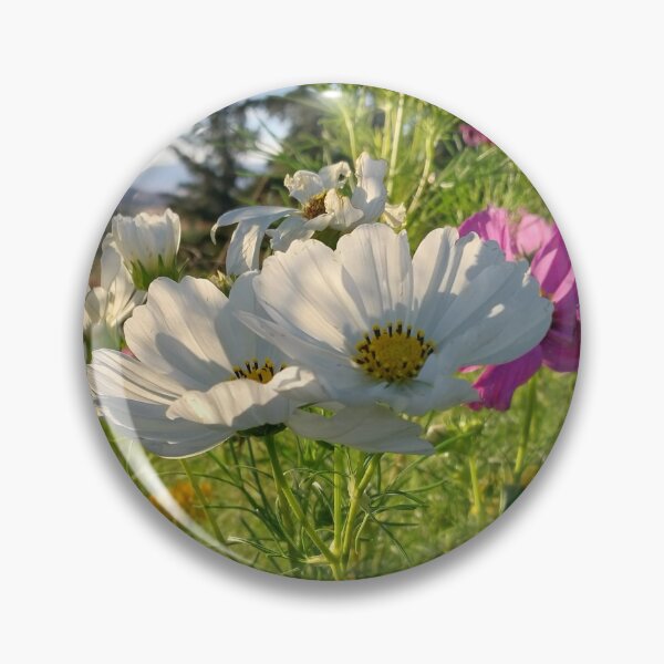 Item preview, Cosmos Pollinator Garden designed and sold by Debbie Schulte.