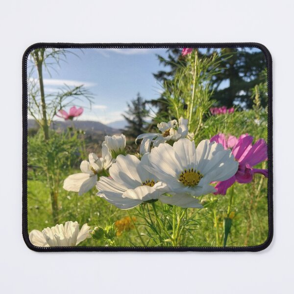 Item preview, Cosmos Pollinator Garden designed and sold by Debbie Schulte.