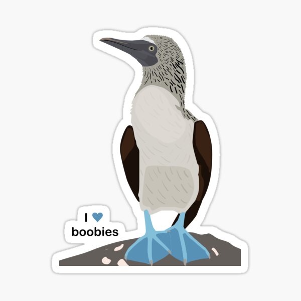 Booby "I heart boobies" Sticker