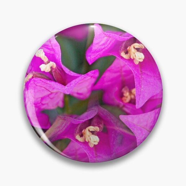 Item preview, bougainvillea flowers designed and sold by manoloshoping.