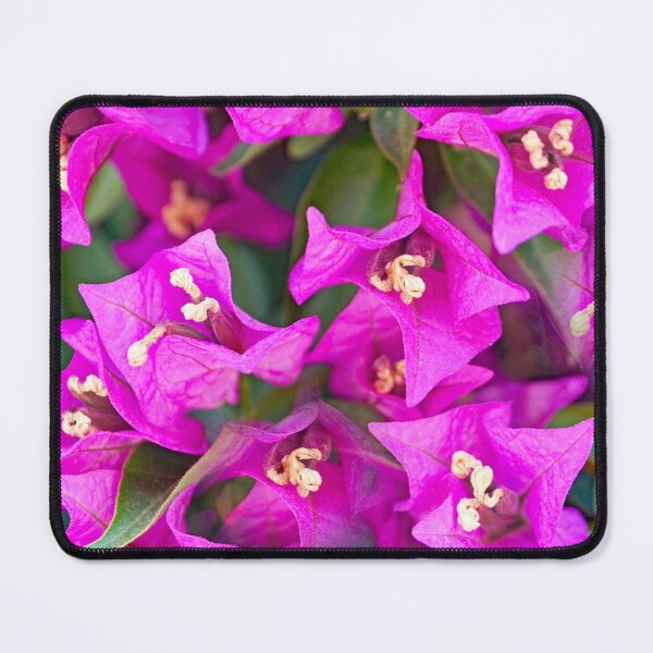 Item preview, bougainvillea flowers designed and sold by manoloshoping.