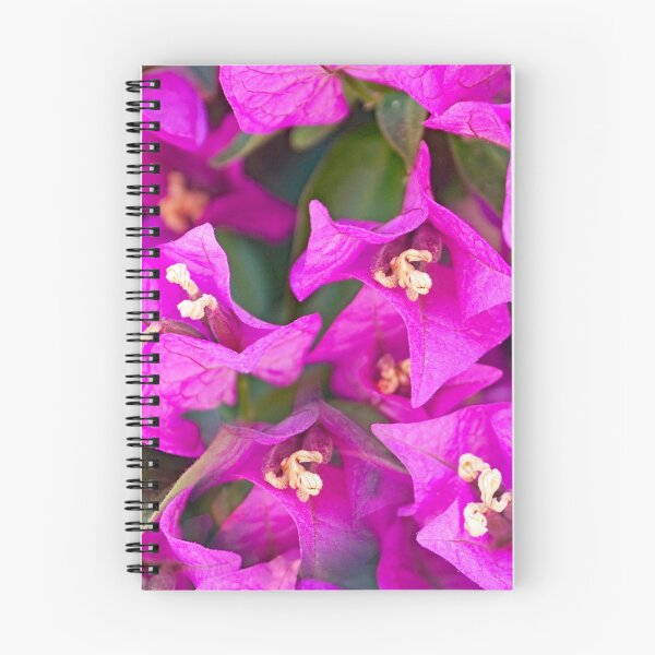 Item preview, bougainvillea flowers designed and sold by manoloshoping.