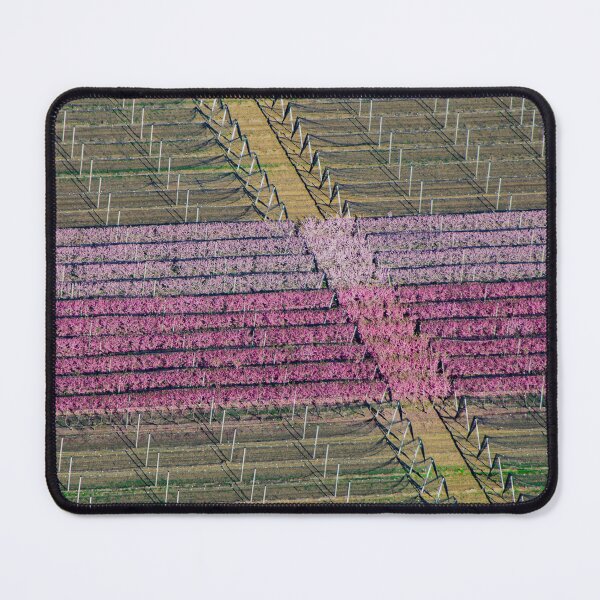 Item preview, Peach blossoms in the countryside of Imathia, Greece designed and sold by christosgr.