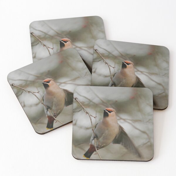 Item preview, Taking flight designed and sold by miradorpictures.