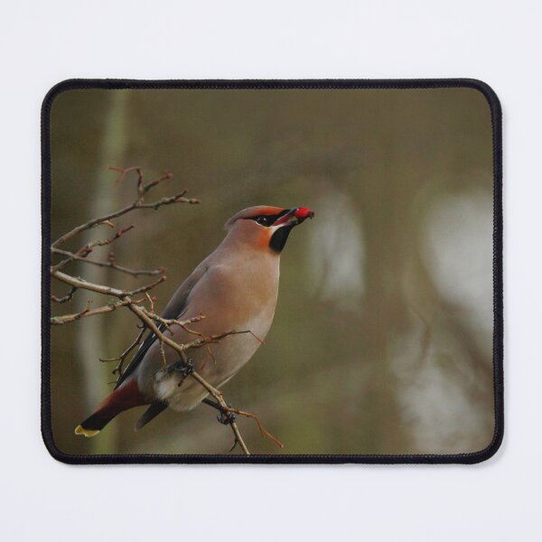 Item preview, Berries up designed and sold by miradorpictures.