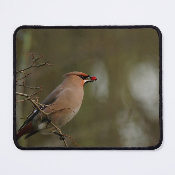 Item preview, Dinnertime designed and sold by miradorpictures.