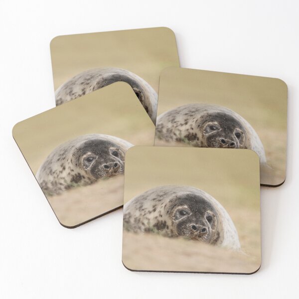 Item preview, Seal the scenery  designed and sold by miradorpictures.