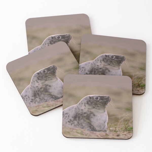 Item preview, Seal the sunset  designed and sold by miradorpictures.