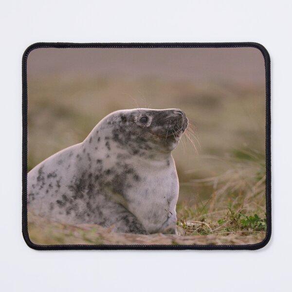 Item preview, Seal the sunset designed and sold by miradorpictures.
