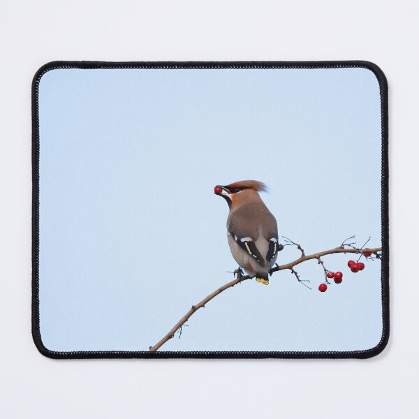 Item preview, Berry bounty designed and sold by miradorpictures.