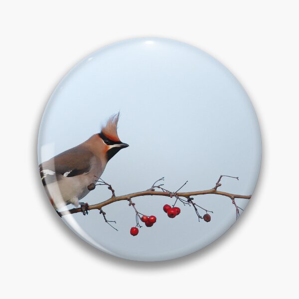 Item preview, Waxwing Mohawk  designed and sold by miradorpictures.