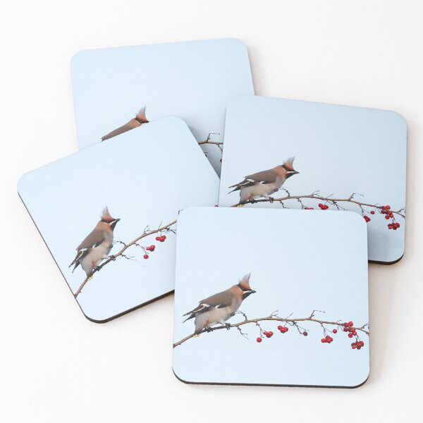 Item preview, Waxwing Mohawk  designed and sold by miradorpictures.