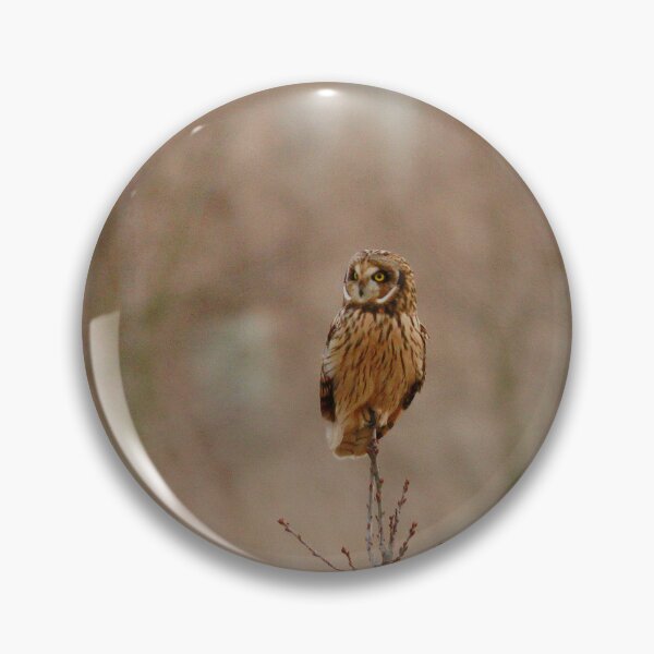 Item preview, Perched up designed and sold by miradorpictures.