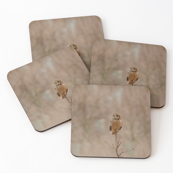 Item preview, Perched up designed and sold by miradorpictures.