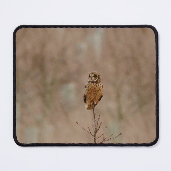 Item preview, Perched up designed and sold by miradorpictures.