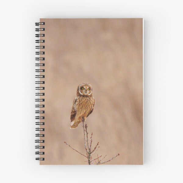 Item preview, Stunning Shortie designed and sold by miradorpictures.