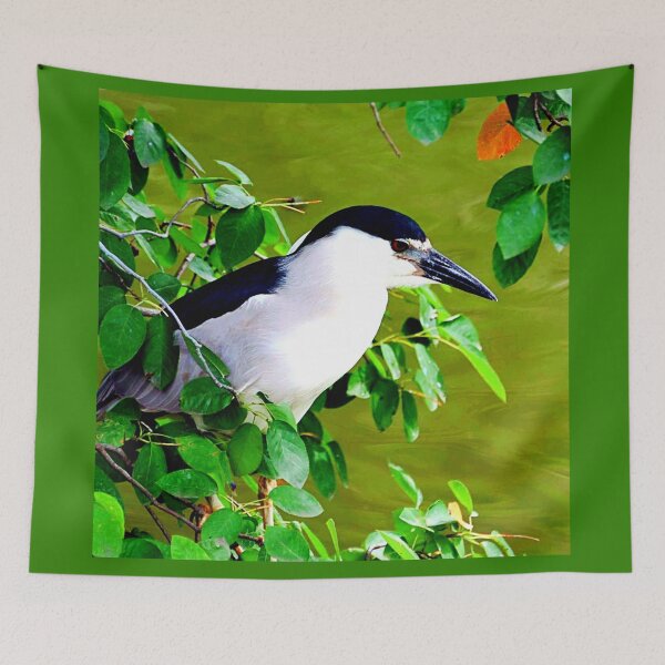 Item preview, Central Park Bird photographed by KAT designed and sold by KATKattalestv.