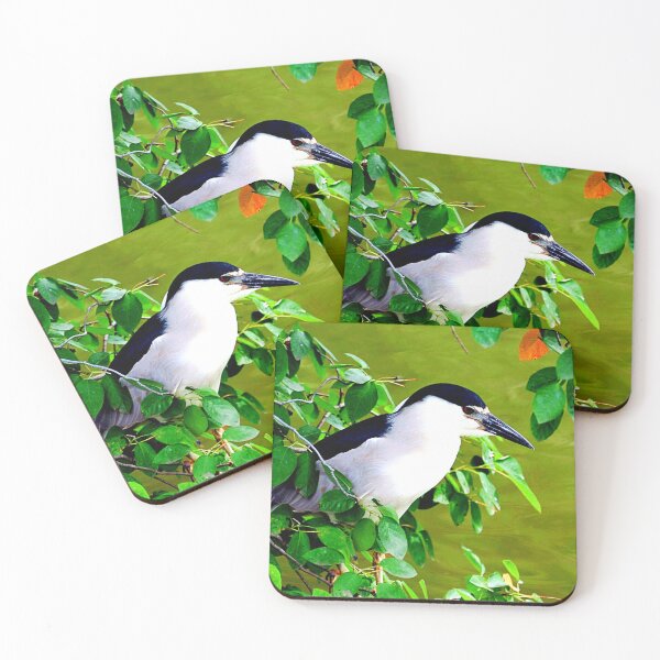 Item preview, Central Park Bird photographed by KAT designed and sold by KATKattalestv.