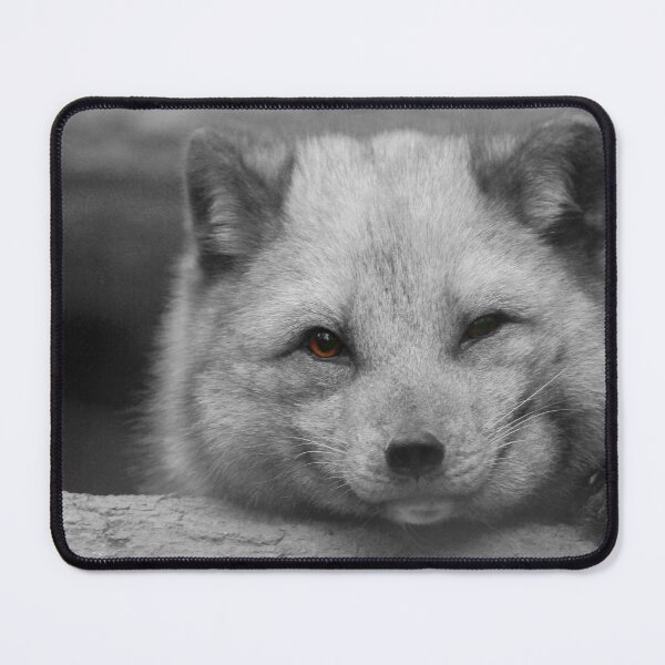 Item preview, The wink designed and sold by miradorpictures.